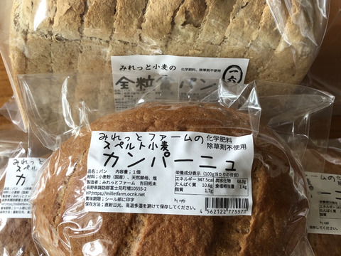 スペルト小麦の全粒カンパーニュ,プレーン３本、直近水曜日出荷