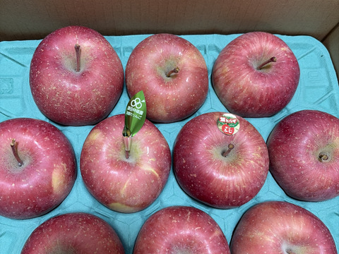 個性派りんご🍎葉隠れサンふじ  冬ギフトにもどうぞ（9個～12個）3キロ箱使用