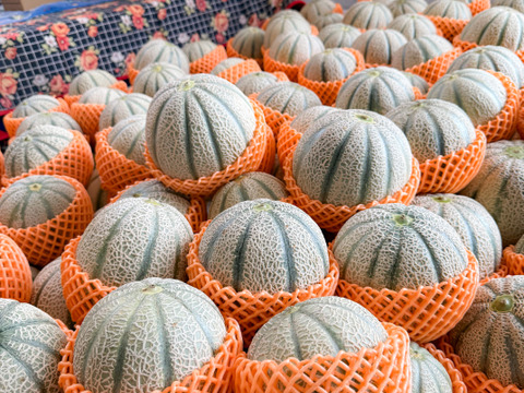 甘さぎっしり詰まった 家族で楽しむマルセイユメロン｜めろん2玉