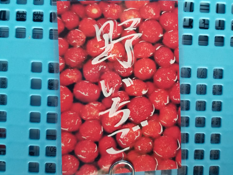★天然　苺　クサイチゴ　実　野いちご　500グラム　冷凍品　チルド専用箱発送★