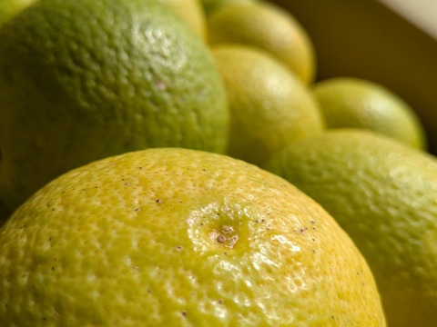 3K３セットまとめ　特売セール　黄色く酸っぱさと甘さが増えている【自然栽培】 かぼす　3K×３個