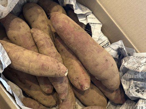 熟成さつまいも！あま〜い紅はるか！(3.6kg)【農薬不使用】