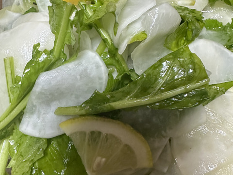 瀬戸内海・大三島の恵🍋農薬不使用レモン〈皮まで使える〉5キロ