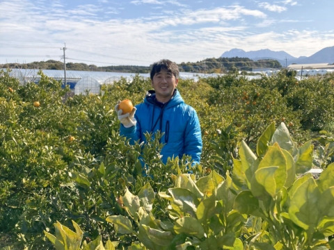 長崎県雲仙市産　岩崎早生みかん3kg