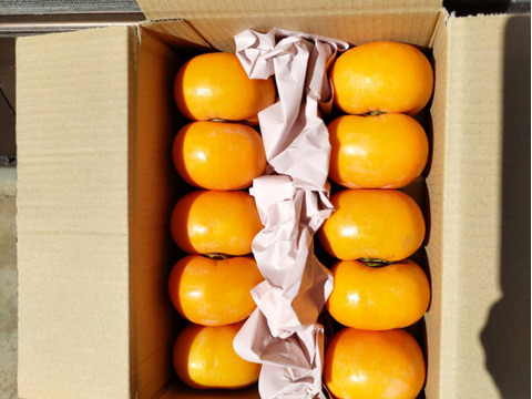 お試し価格 3.8キロ《脱渋済》たねなし庄内柿