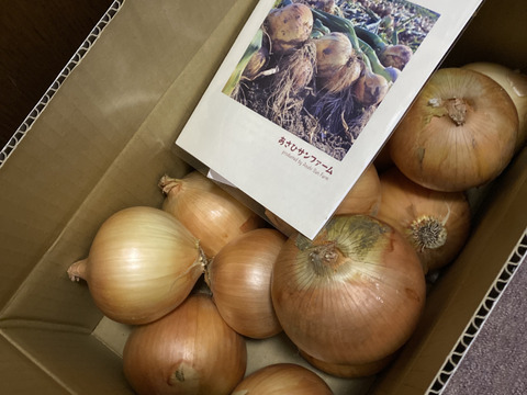 【5kg】淡路島たまねぎ 特別栽培 兵庫県認証食品 ひょうご安心ブランド あさひサンファーム ご家庭 南あわじ市 淡路島産たまねぎ レシピ付き！