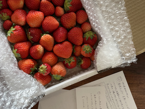 【大特価!!春SALE】
ばら詰めいちごBOX！