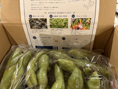 【予約販売・初夏限定】そら豆（京都産）2kg｜農薬・化学肥料不使用