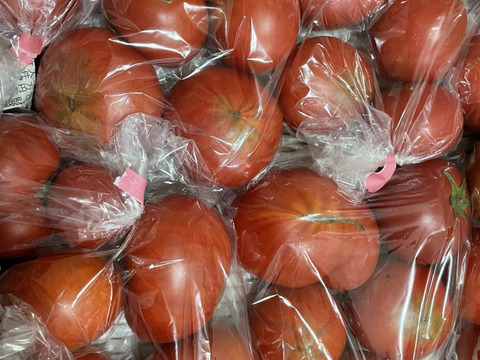 【10%OFF・大容量3kg】アルテトマトなかま☆コクと旨味をギュっと濃縮！フルーツトマト【シーズン残りわずか】