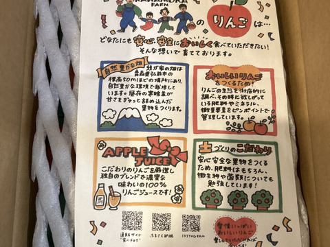 令和7年度産早期予約セール7%OFF大玉から順に発送‼️🍎青森県産葉取らず完熟ふじ約6kgとことん味にこだわりました😊