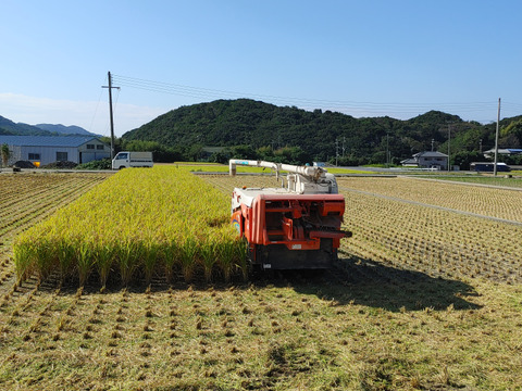 玄米、きぬ光、風袋込みの5キロ(炊く際の水量は、普段通りで)