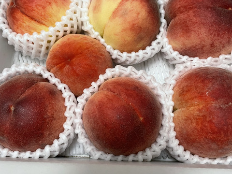 期間限定！山梨県産桃訳アリ品種いろいろ🍑】すぐ発送！約2キロ