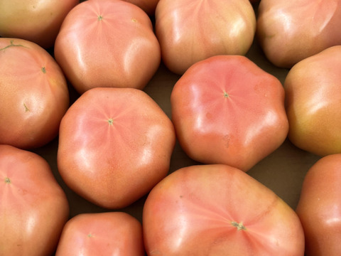 【訳アリ特価✨】ふぞろい大玉トマト　4㎏箱