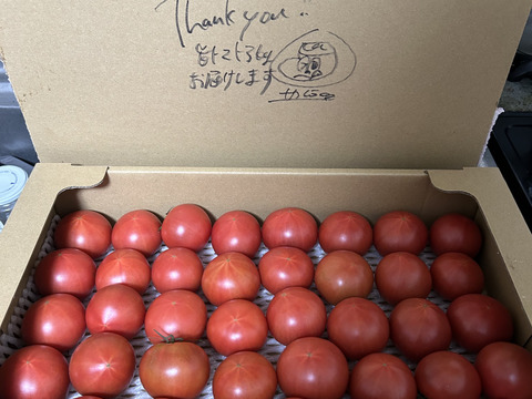 【旨トマト3kg】お買い得☆ジューシーで旨味あるトマト！サラダやパスタにも！（２０～４５玉）