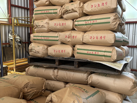 令和6年新米コシヒカリ玄米30kgキロ（精米不可）埼玉北川辺産 特別栽培米減農薬 埼玉北川辺産【令和7年新米】コシヒカリ 玄米30kgキロ（精米不可