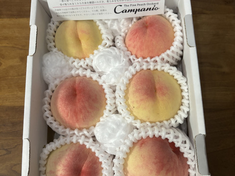 ☆朗報☆岡山県産ヤマモモ本日収穫6月２０日中粒２キロ プレゼント小粒300グラム 家庭用】夏を先取り！6月下旬～7月中旬の岡山の桃 小箱4～6