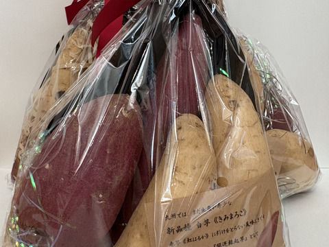 今話題！！希少な新品種のサツマイモ「きみまろこ」と「べにはるか」の食べ比べセット！贈答用に、ご挨拶に、手土産に！
きみまろこは上品な甘さでしっとり
べにはるかは濃厚な甘さとねっとり