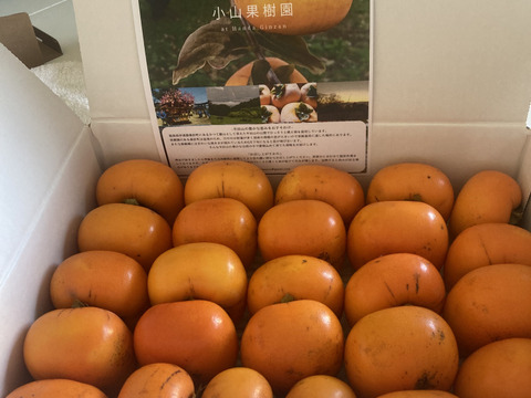 訳あり平核無柿 約4キロ 20個前後入り(ブランデー脱渋)