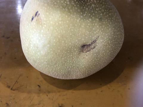 豊水　家庭用5㎏大玉12玉