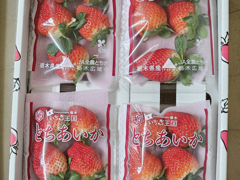 (8P)約2kg【いちご・とちあいか】実がしっかりして酸味が少なく甘さが際立つ新品種★どどーんと(８パックx260g)「とちあいか」栃木県産いちご●嬉しい日のいちご●お届け日指定可