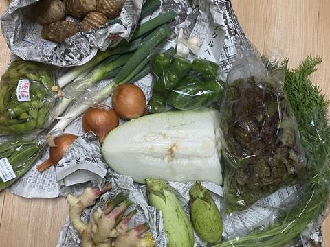 季節の朝採り8〜10品目 農薬化学肥料不使用　80サイズ