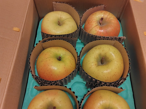 【希少種】【あまみつき】（2kg・6～9個入り）パリ甘・ジューシーお得な家庭用