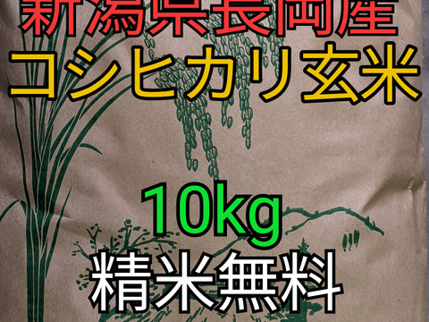 【SALE】令和4年度新潟県長岡産コシヒカリ玄米10kg【精米無料】