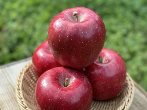 權之丞の葉取らずミックス！　🏆2025年りんごGP金賞受賞🎊葉取らず高徳&葉取らずコスモふじ　家庭用2kg【5〜10個入り】