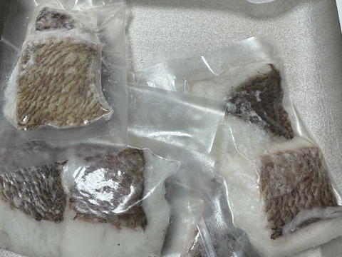 【冬ギフト】鯛人気NO1👑みやび鯛骨なし切り身5P 旨味たっぷりアレンジ無限大【鯛切り身5P】加熱調理に！