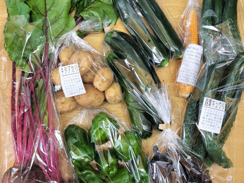 本日か翌日発送★夏野菜9袋セット★フードレスキュー　農園自慢の野菜セット★パチャママ農園