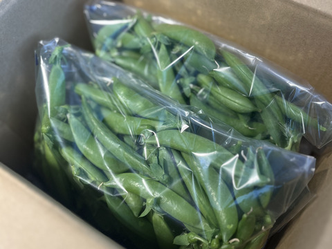 ≪予約商品≫☆有機JAS認証☆スナップえんどう１kg【5月発送予定】