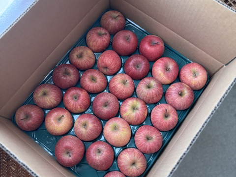 【ギフト】【小玉りんご】5kg 甘い！美味しい！家庭用小玉サンふじ(25~28玉)よく、どこに傷があるの？と聞かれます 長野県山ノ内町志賀高原麓