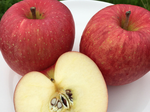 【特別貯蔵】爽やかな甘み!シャキシャキ食感!スマートフレッシュ有袋ふじ 青森りんご🍎2.5kg(6〜10個)