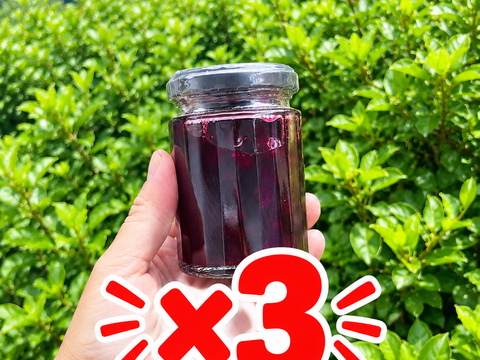 訳あり 3個セット果肉ごろごろ ブルーベリーフルーツソース 120g｜栽培期間中農薬不使用栽培