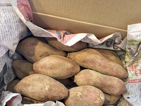 熟成さつまいも！あま〜い安納芋！(3.2kg)【農薬不使用】