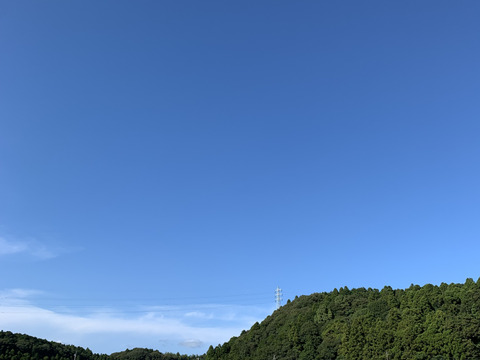 ✳︎新米✳︎令和7年度産★季節の野菜プレゼント付★【白米3キロ】クラフト袋入　　ふっくら・もちもち✴︎冷めても美味しい〜　【深田のお米】千葉県産コシヒカリ