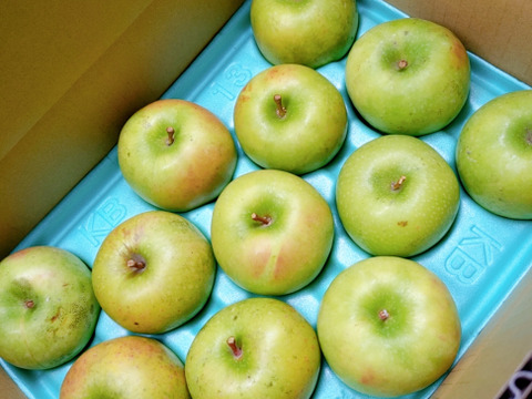 本格アップルパイにどうぞ！酸味のきいた青りんご、グラニースミス3キロ箱入