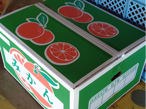 【農薬・化学肥料不使用】神奈川産　大津みかん　10kg (訳あり)