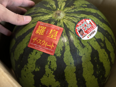 特大スイカ　大玉　10㌔以上　羅皇ザスイート