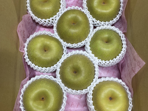 ※今季ラスト※　スッキリとした甘さ！大人気の幸水梨　3㎏