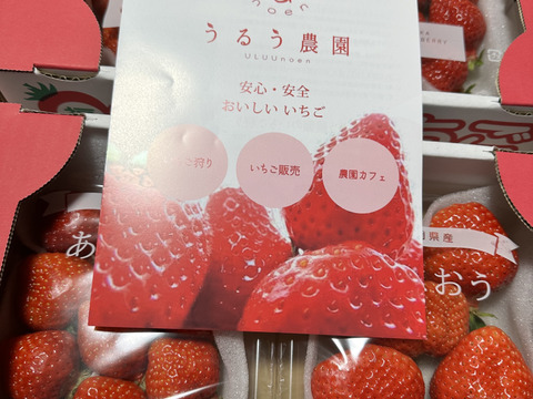 【期間限定!!お得品】あまおうたっぷり4パック　～福岡ストロベリーパーク～