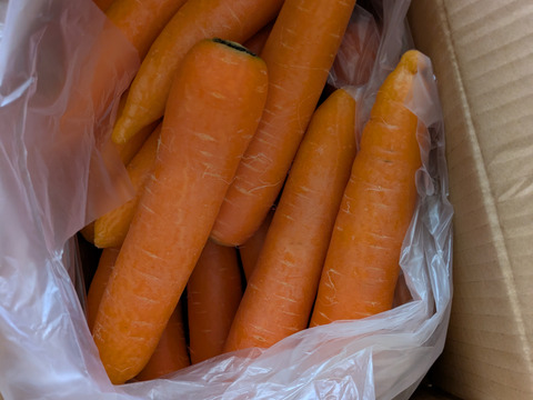 雪が積もる高原の寒さで甘くなった❄️有機JASニンジン🥕５ｋｇ