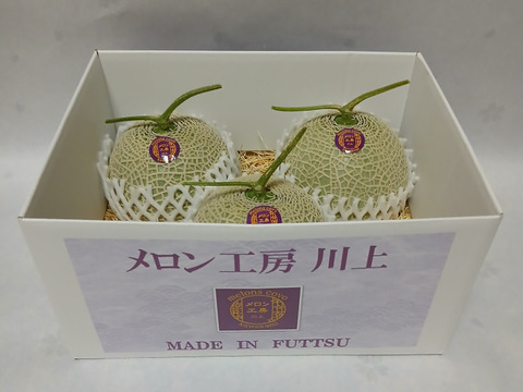 【夏ギフト】高級メロン 千葉県富津市産アールスメロン 1.2～1.5kg/個 ×3個入り
