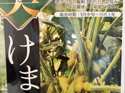 青森県津軽平野だけで栽培されている在来種毛豆
