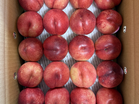 終盤❗️ネクもも🍑ハネージュ🍑3キロ箱　規格外　訳あり