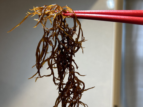 天然1等品！水で戻しそのまま食べれるコリコリと美味しい『新芽ふのり』50g