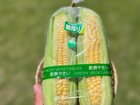 甘さとジューシーさが特徴のスイートコーンまるでフルーツ！