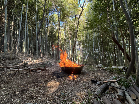 プロ管理竹林のやわらか春タケノコ（出雲産)