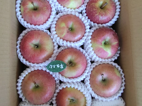 【人気品種】🍎早生ふじ約3キロ🍎8〜12玉《家庭用》ID284719