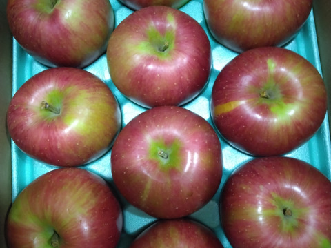 甘くて美味い！シナノスイート　長野県産　ご家庭用　約3kg(7個〜12個)